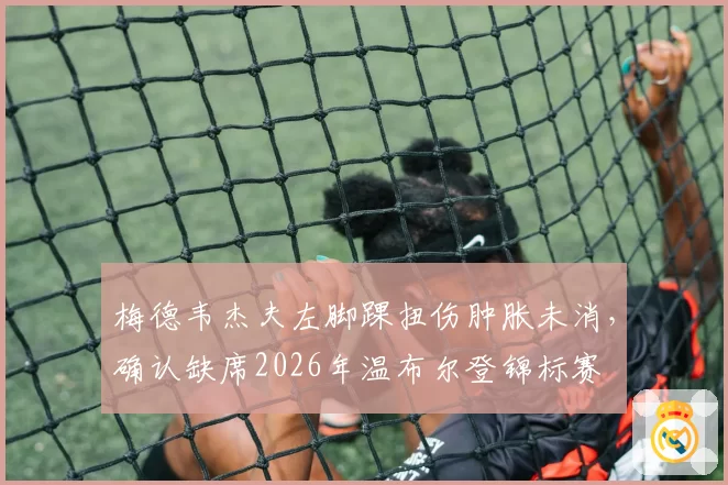 梅德韦杰夫左脚踝扭伤肿胀未消，确认缺席2026年温布尔登锦标赛