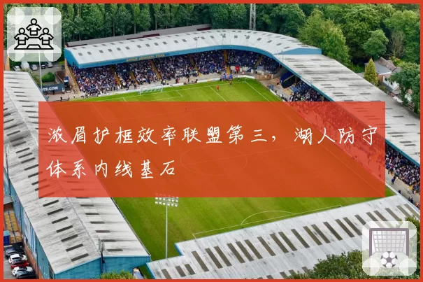 浓眉护框效率联盟第三，湖人防守体系内线基石