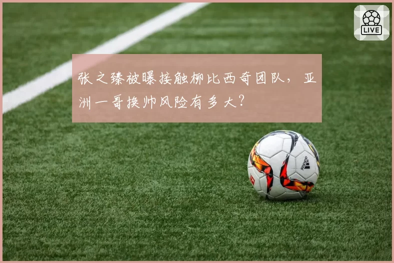 张之臻被曝接触柳比西奇团队，亚洲一哥换帅风险有多大？