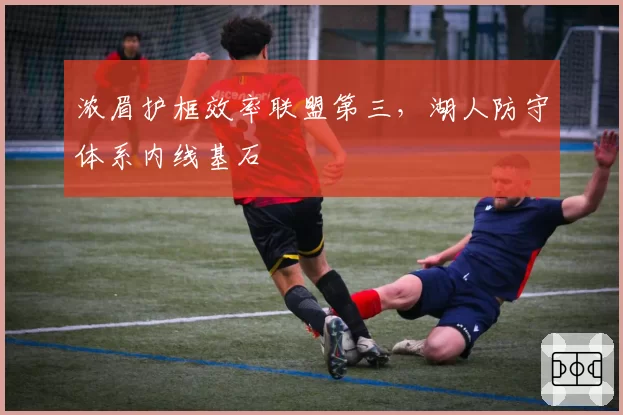 浓眉护框效率联盟第三，湖人防守体系内线基石