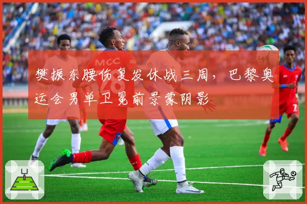 樊振东腰伤复发休战三周，巴黎奥运会男单卫冕前景蒙阴影